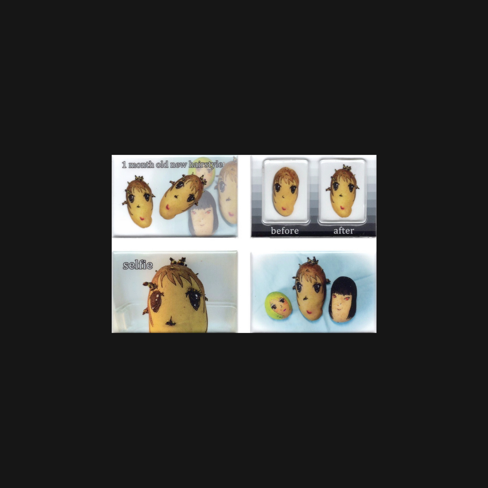 Niptong - Potato Sticker